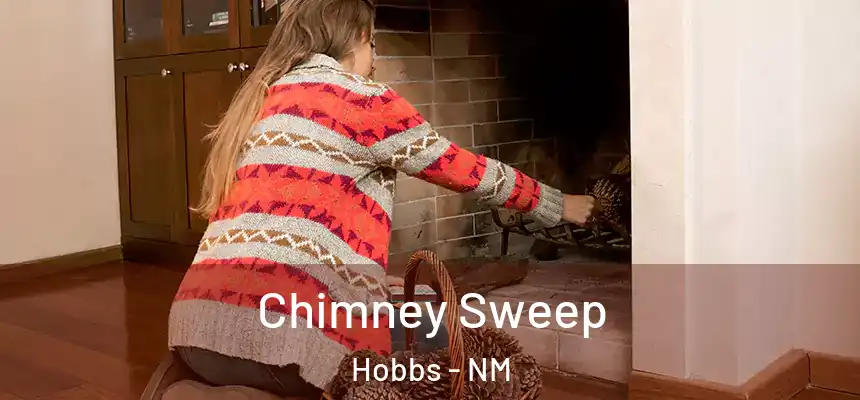  Chimney Sweep Hobbs - NM