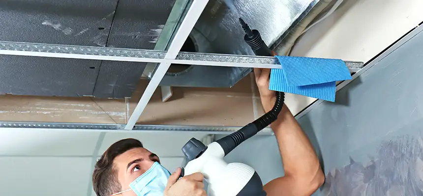 Our Air Duct Rodent Removal Services in Hobbs, NM