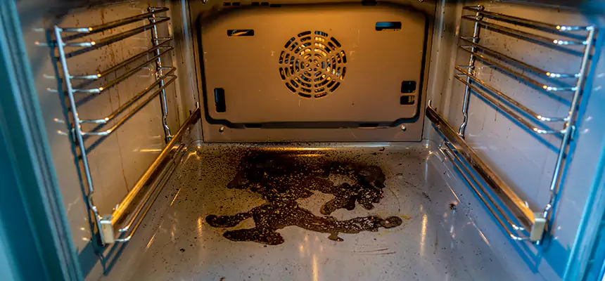 Our Dryer Vent Mold Cleaning Services in Hobbs, NM