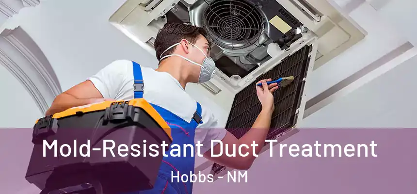  Mold-Resistant Duct Treatment Hobbs - NM
