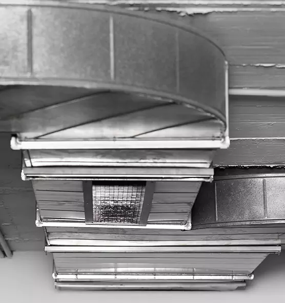 Professional Air Duct Pet Hair Removal in Hobbs, NM