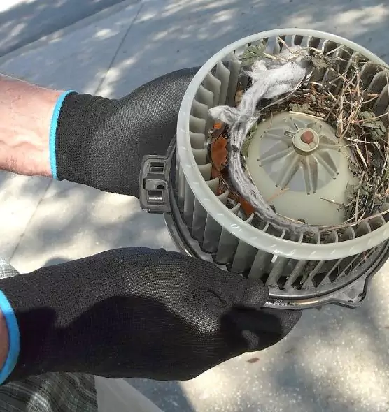 About Air Duct Rat Removal in Hobbs, NM